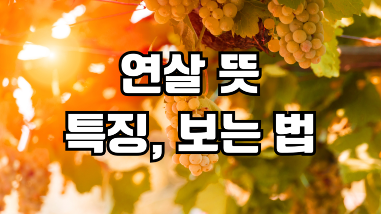연살 뜻