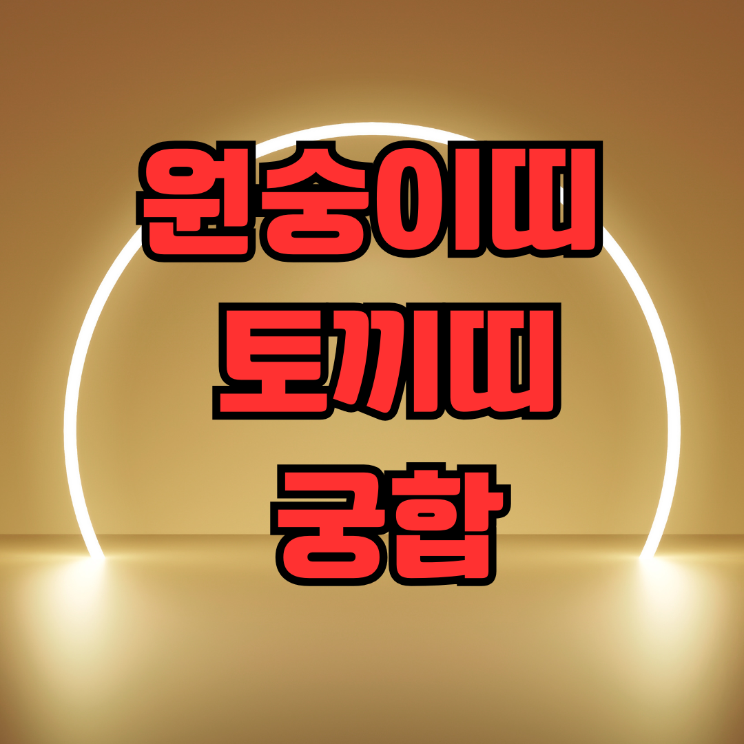 원숭이띠 토끼띠 궁합