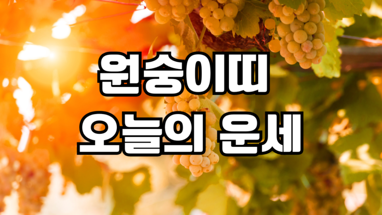 원숭이띠 오늘의 운세