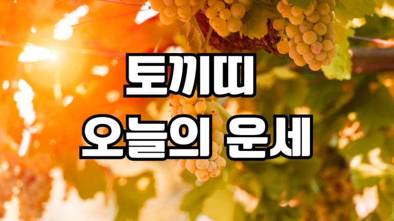 토끼띠 오늘의 운세