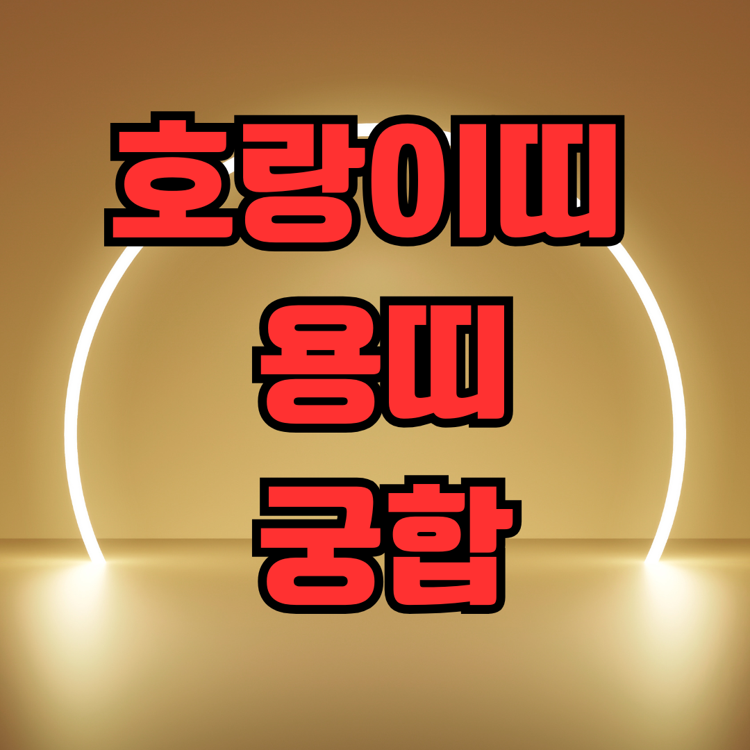 호랑이띠 용띠 궁합