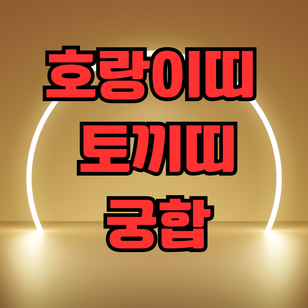 호랑이띠 토끼띠 궁합
